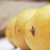 Ratnagiri Alphonso Mango Hapus Aam (GI Tagged)