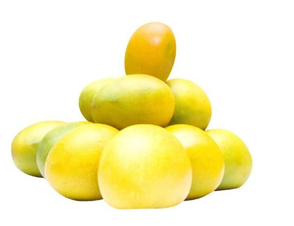 Ratnagiri Alphonso Mango Hapus Aam (GI Tagged)